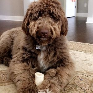 Meet your Posher, Nancy